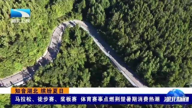 关于赛地聚焦：中超冲刺阶段热度飙升，意大利国家队单刀错失，震撼外界，心理建设被强调的信息